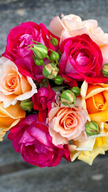 Colorful Roses wallpaper 360x640