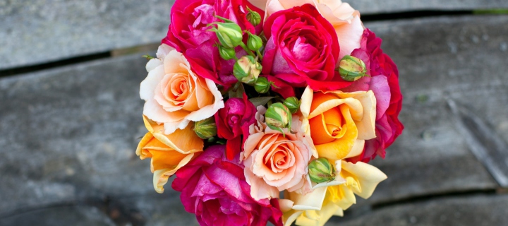 Colorful Roses wallpaper 720x320