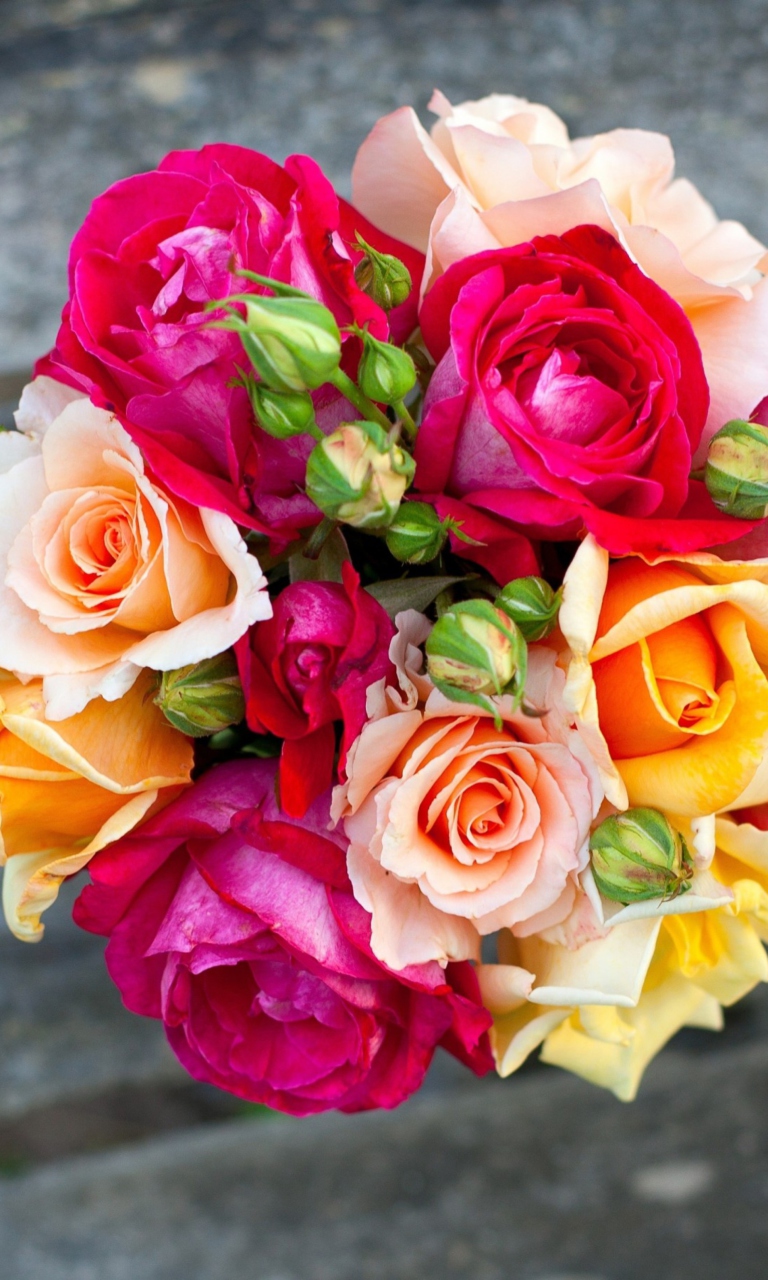 Colorful Roses screenshot #1 768x1280