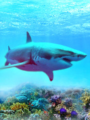 Fondo de pantalla Great white shark 132x176