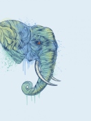 Обои Elephan Head 132x176