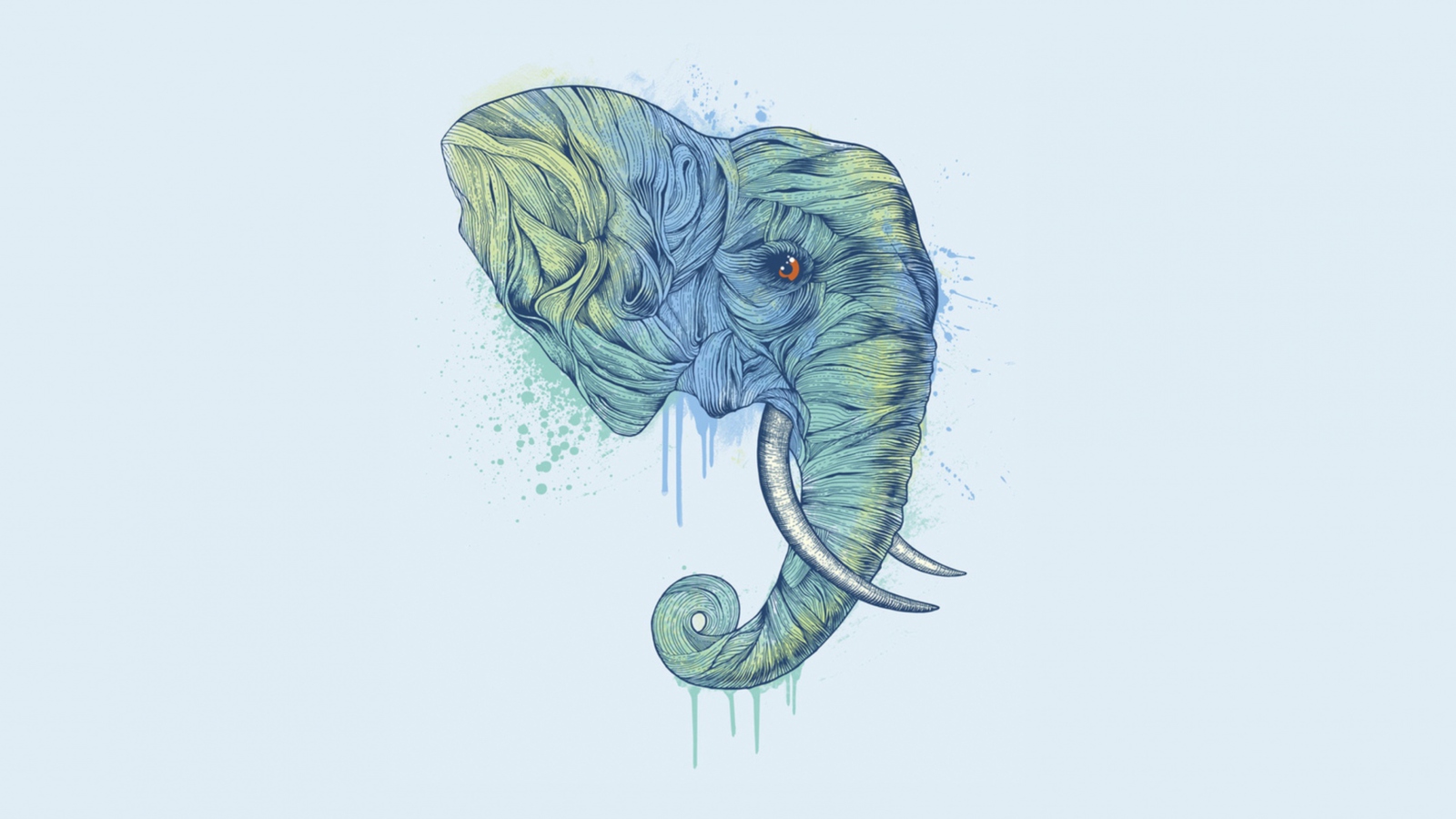 Elephan Head wallpaper 1600x900