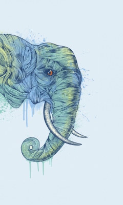 Elephan Head wallpaper 240x400