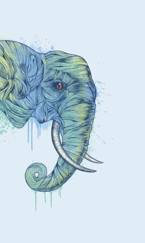 Das Elephan Head Wallpaper 480x800