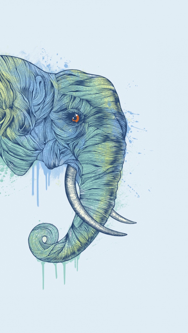 Das Elephan Head Wallpaper 640x1136