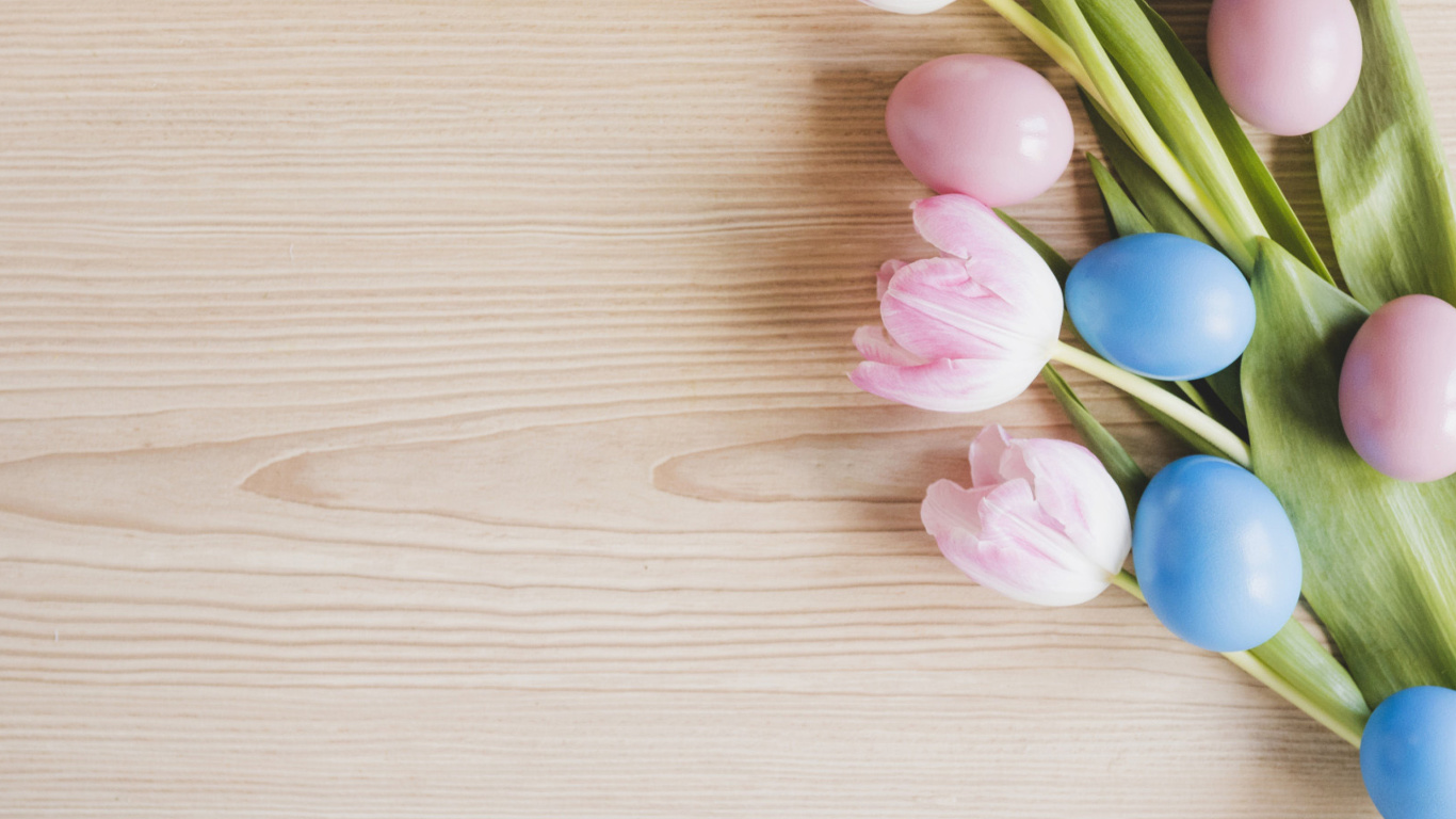 Das Easter Tulips Wallpaper 1366x768