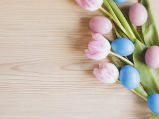 Das Easter Tulips Wallpaper 320x240