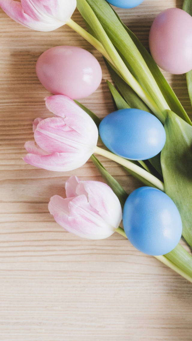 Fondo de pantalla Easter Tulips 640x1136