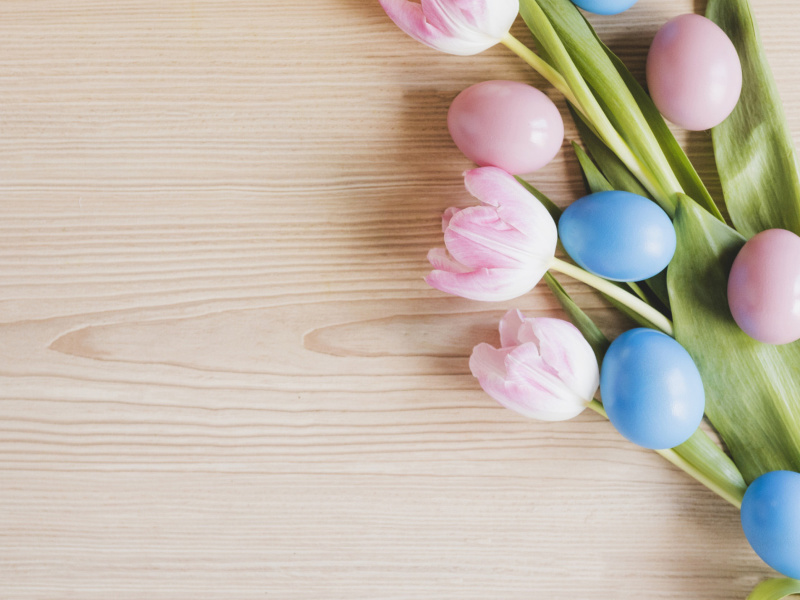 Easter Tulips wallpaper 800x600