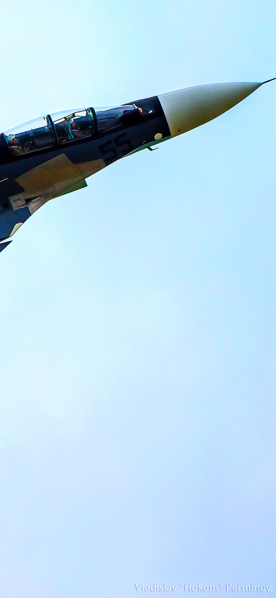 Sukhoi Su 30 Flanker screenshot #1 1170x2532