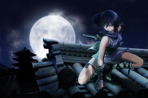 Anime Ninja screenshot #1 480x320