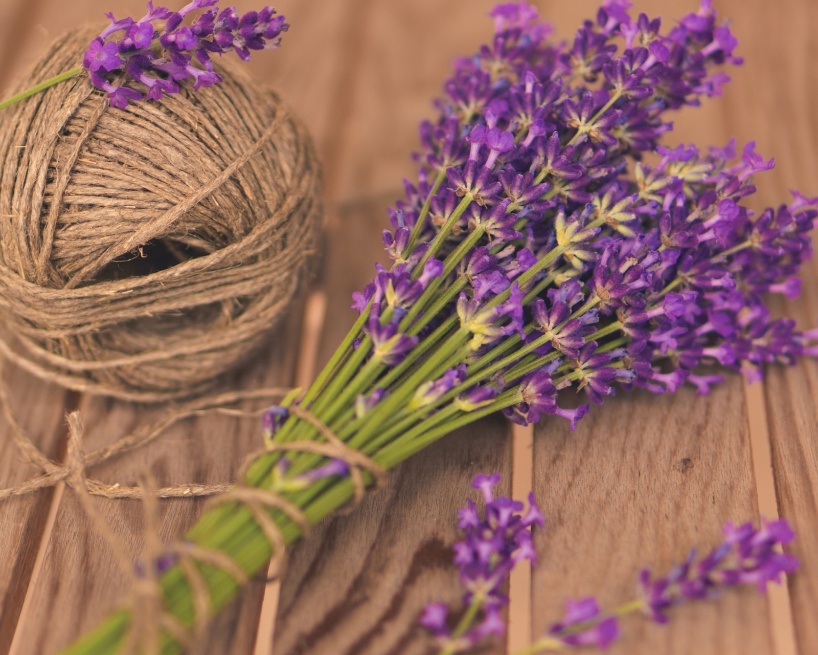 Sfondi French Lavender Bouquet 1600x1280