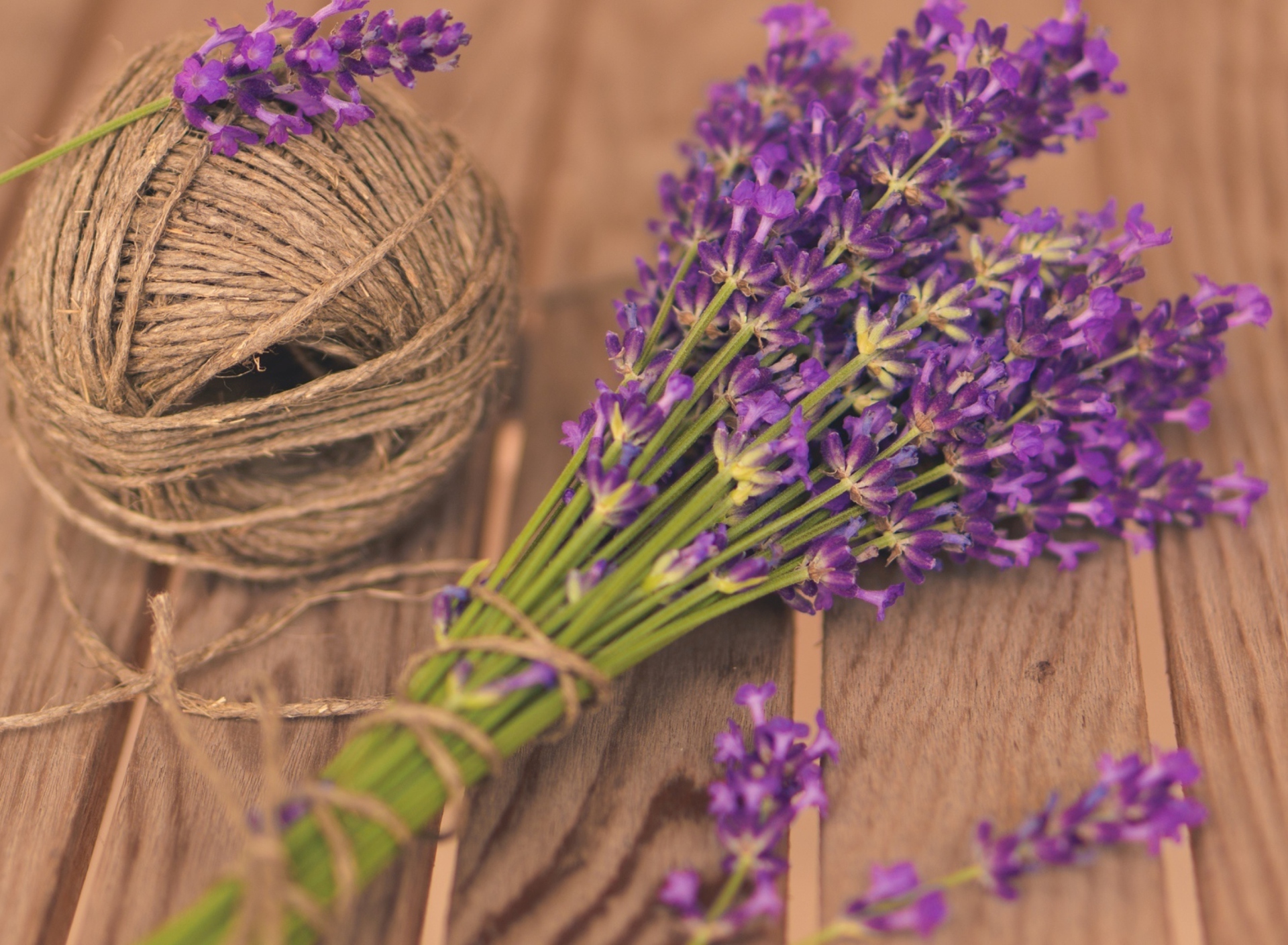French Lavender Bouquet screenshot #1 1920x1408