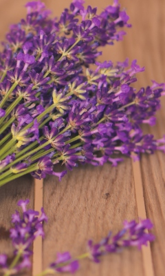 Screenshot №1 pro téma French Lavender Bouquet 240x400