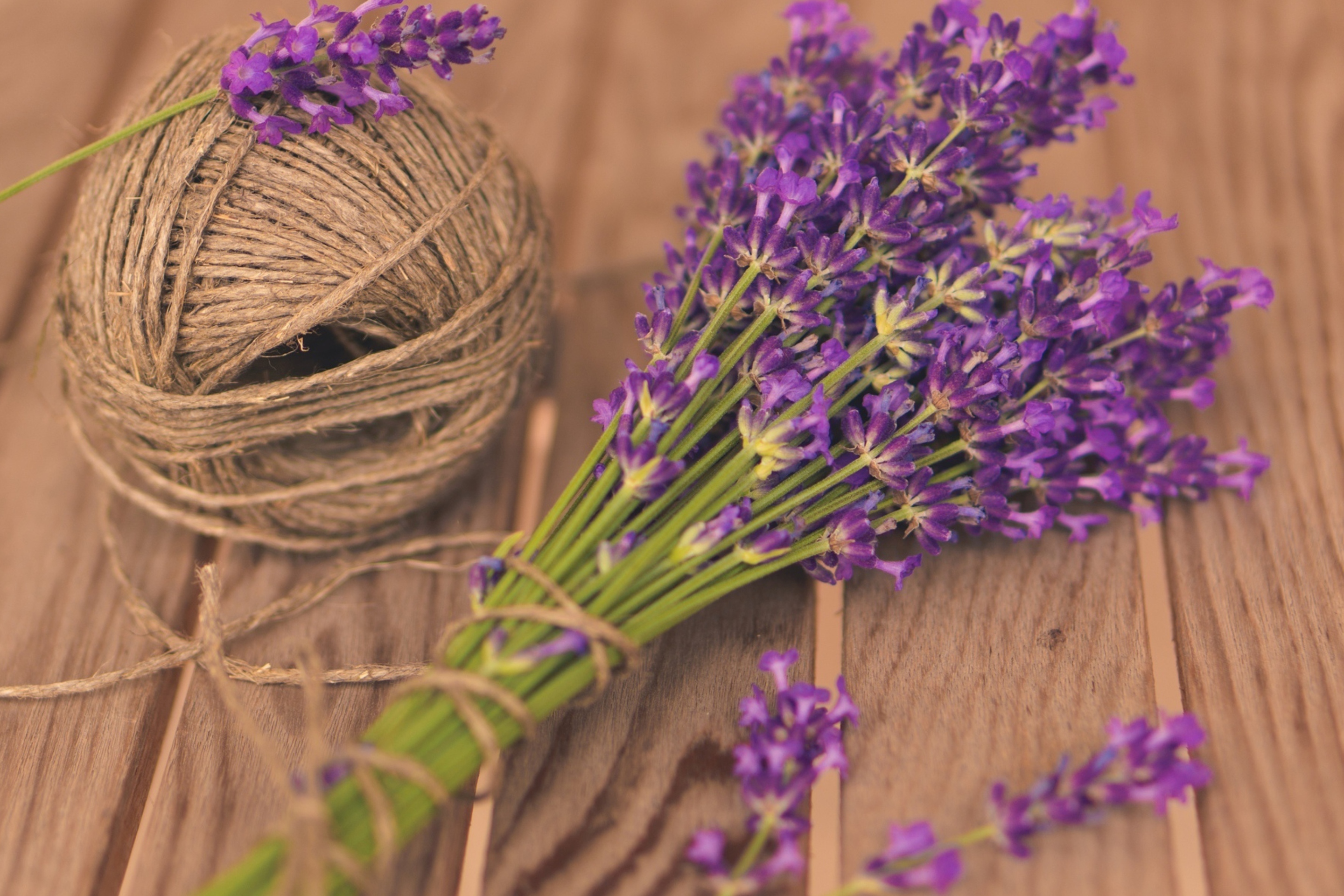 Screenshot №1 pro téma French Lavender Bouquet 2880x1920