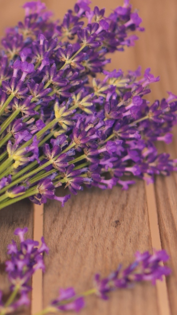 Sfondi French Lavender Bouquet 360x640