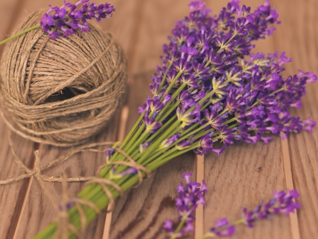 Sfondi French Lavender Bouquet 640x480