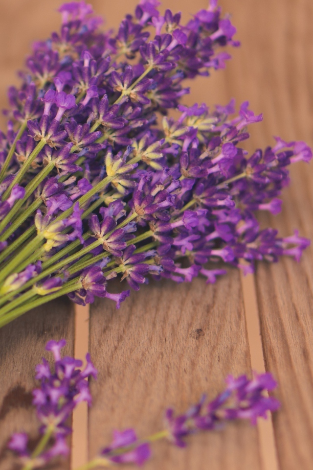 Das French Lavender Bouquet Wallpaper 640x960