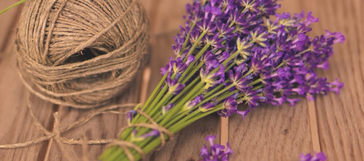 Sfondi French Lavender Bouquet 720x320