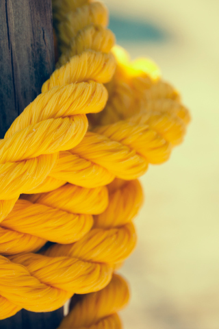 Das Yellow Rope Wallpaper 320x480