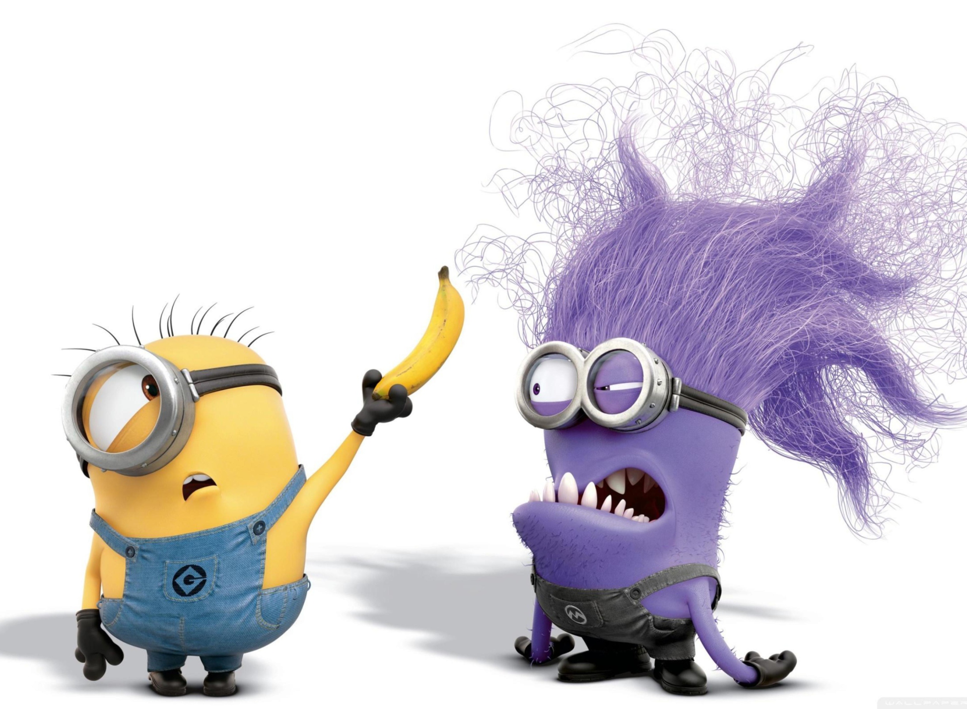 Das Minions Wallpaper 1920x1408