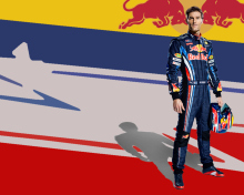 Fondo de pantalla Sebastian Vettel Red Bull 220x176