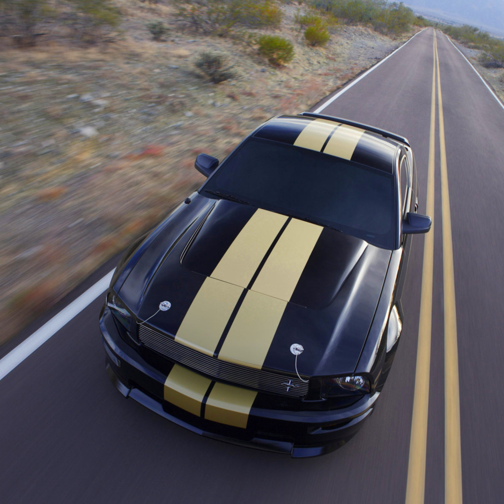 Fondo de pantalla Shelby Mustang GT-H 1024x1024
