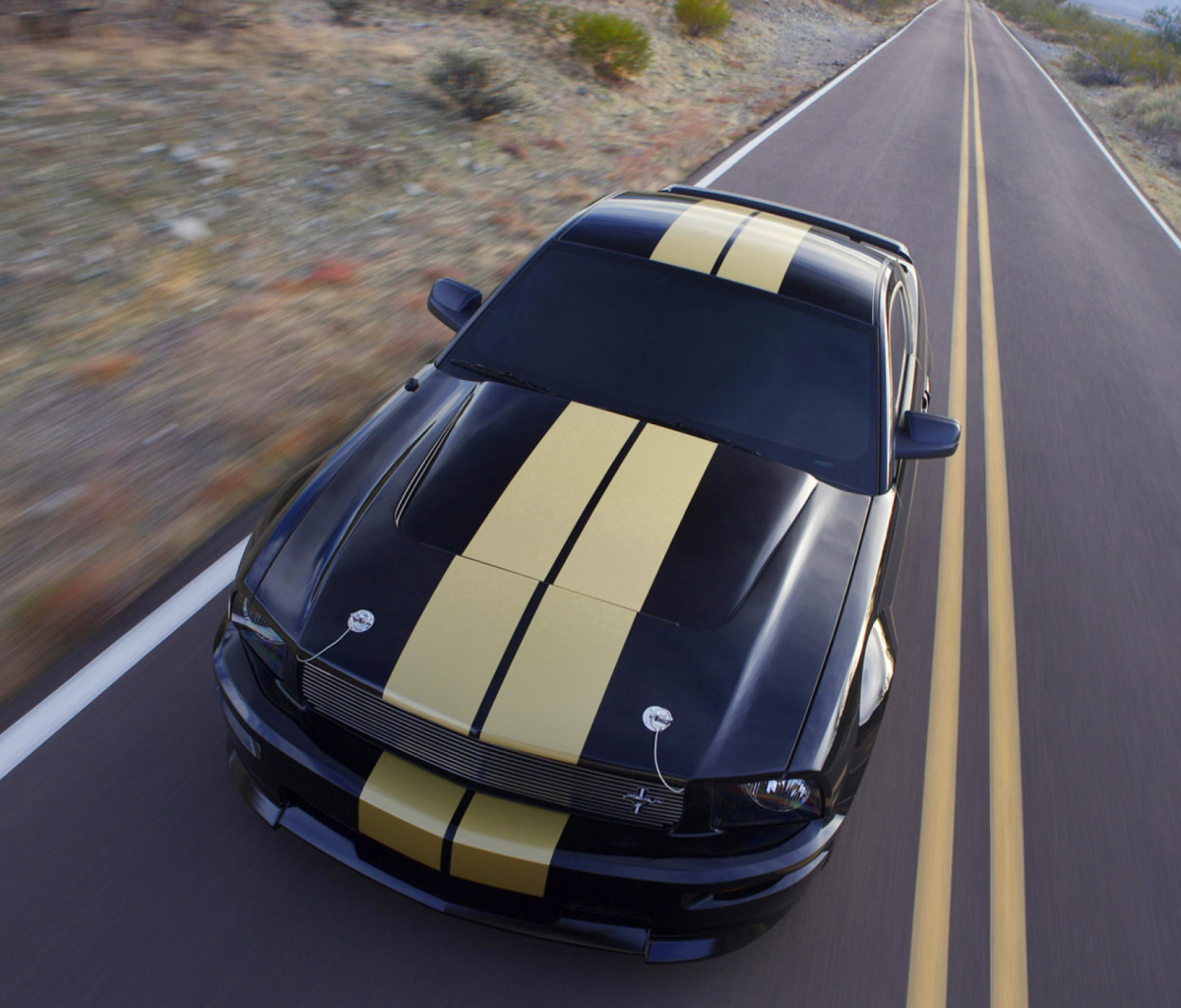 Screenshot №1 pro téma Shelby Mustang GT-H 1200x1024