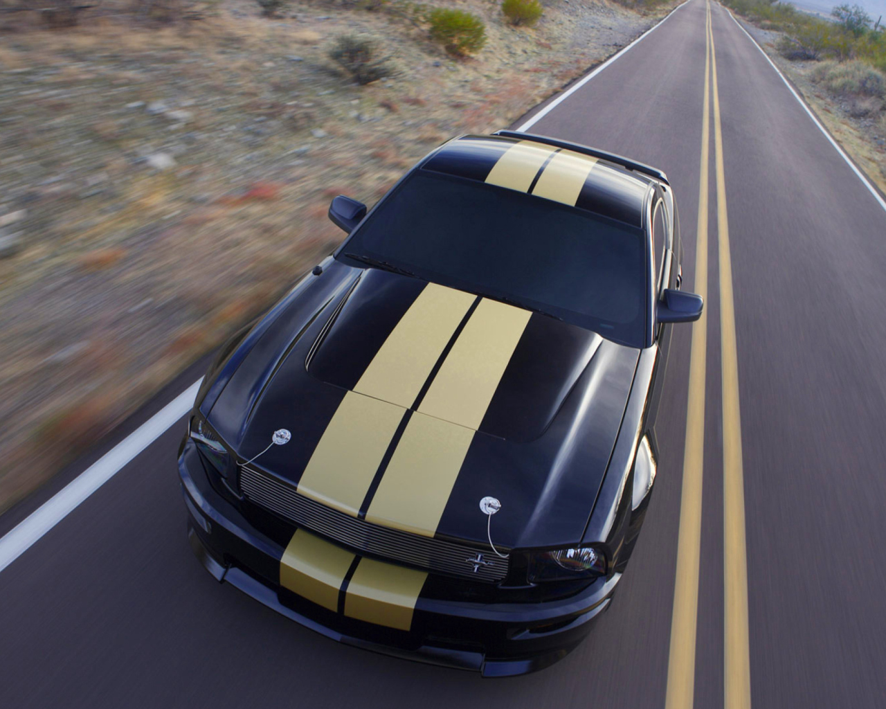 Das Shelby Mustang GT-H Wallpaper 1280x1024