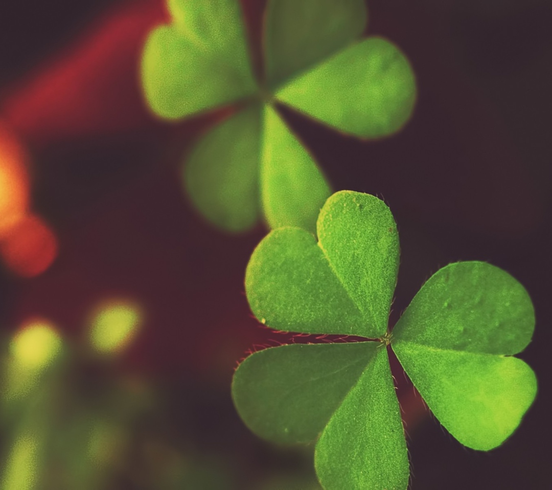 Fondo de pantalla Clover 1080x960