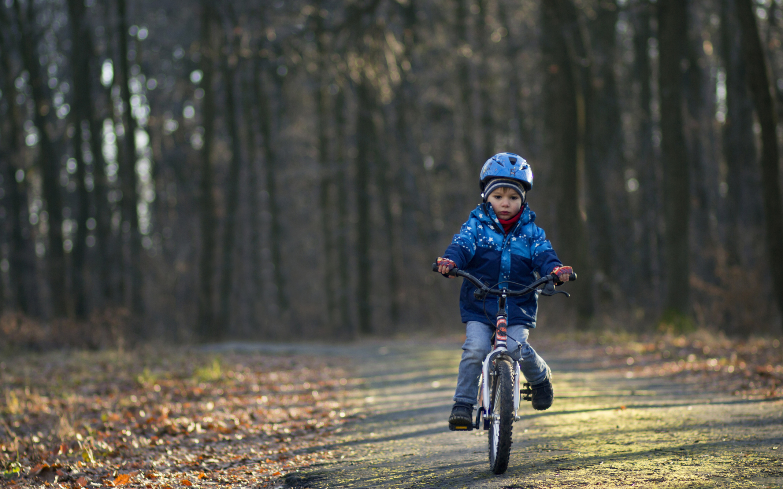 Fondo de pantalla Little Boy Riding Bicycle 2560x1600