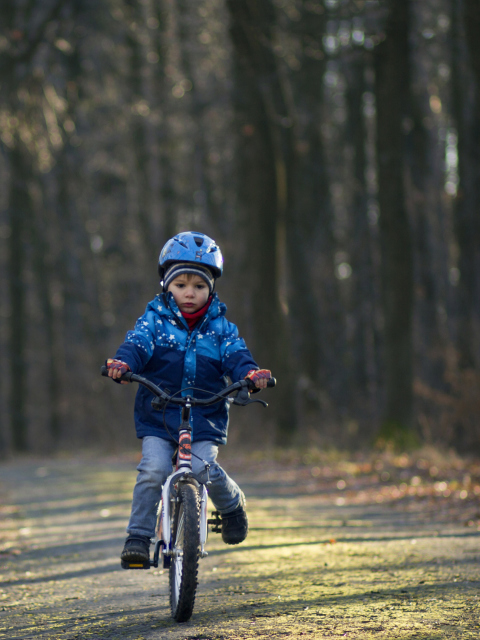 Little Boy Riding Bicycle wallpaper 480x640