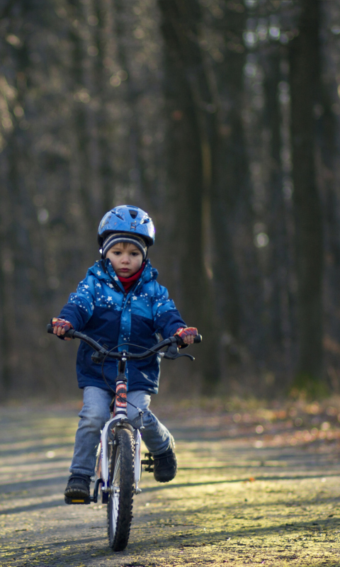 Little Boy Riding Bicycle wallpaper 480x800