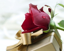 Обои Rose And Gift 220x176