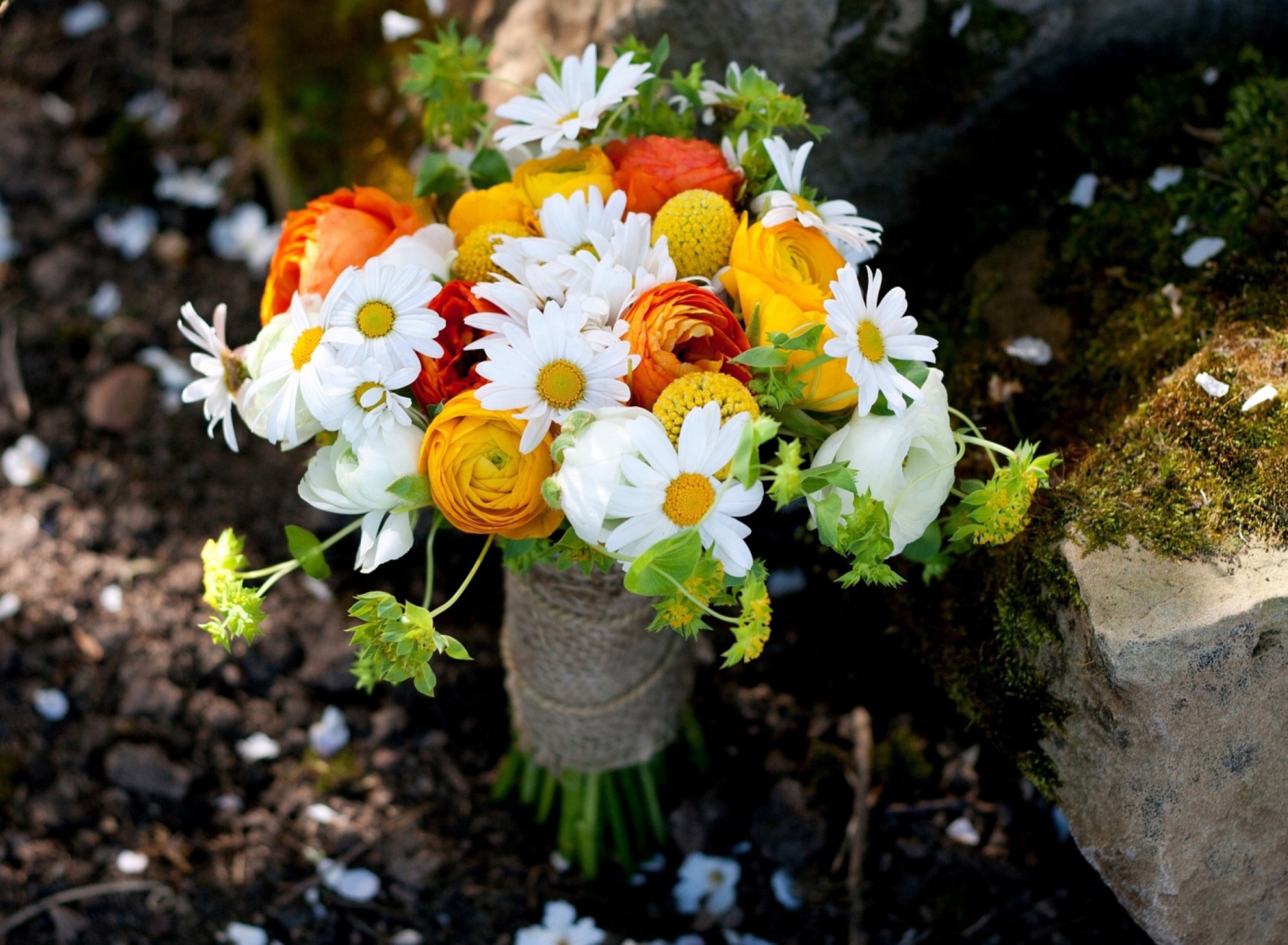 Fondo de pantalla Nature Wild Bouquet Of Flowers 1920x1408