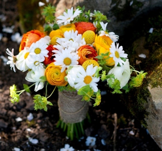 Nature Wild Bouquet Of Flowers sfondi gratuiti per 1024x1024