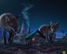 Обои Fox Demons 220x176