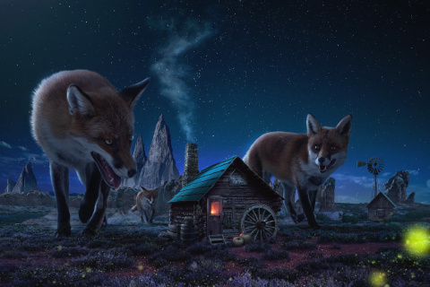Das Fox Demons Wallpaper 480x320