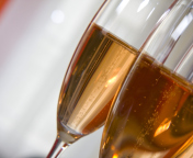 Обои Rose champagne in glass 176x144