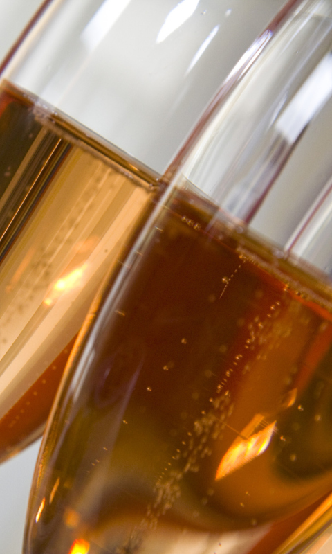 Rose champagne in glass wallpaper 480x800