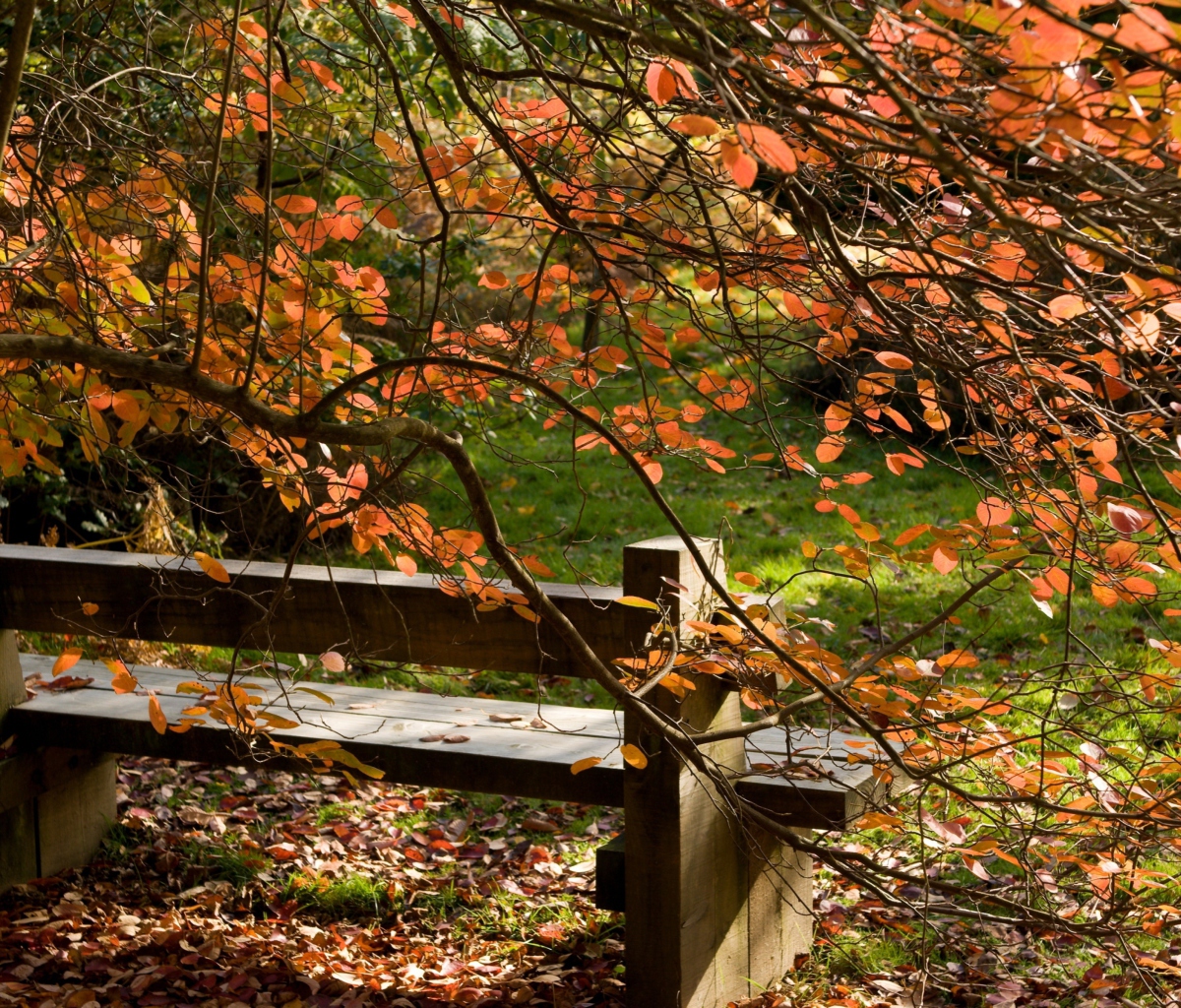 Sfondi Autumn Bench 1200x1024