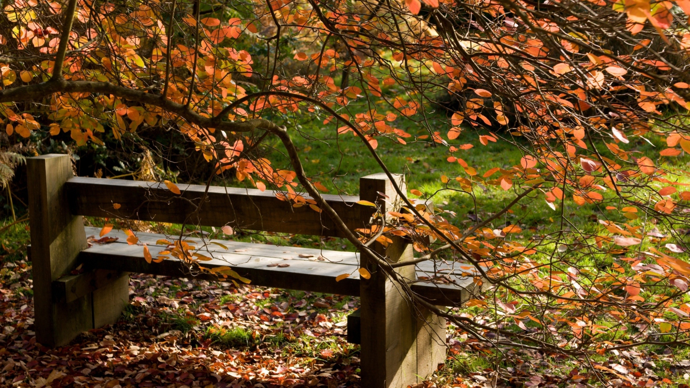 Das Autumn Bench Wallpaper 1366x768