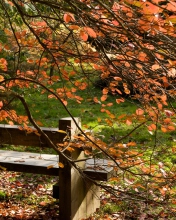 Autumn Bench screenshot #1 176x220