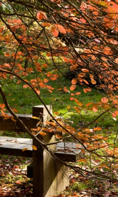 Autumn Bench screenshot #1 240x400