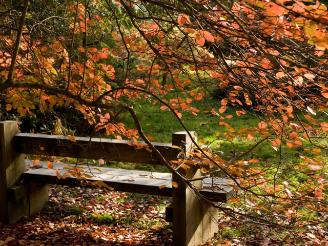 Das Autumn Bench Wallpaper 640x480