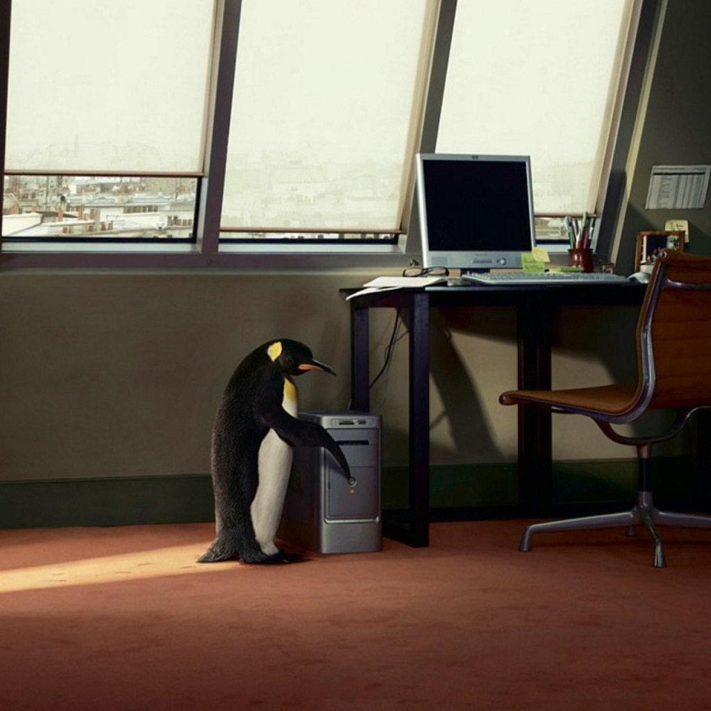 Penguin and Computer screenshot #1 1024x1024