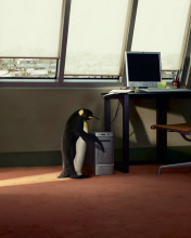Обои Penguin and Computer 176x220