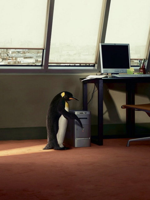 Sfondi Penguin and Computer 480x640