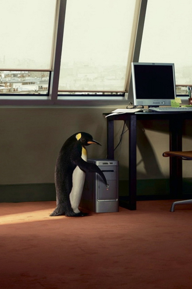 Penguin and Computer screenshot #1 640x960