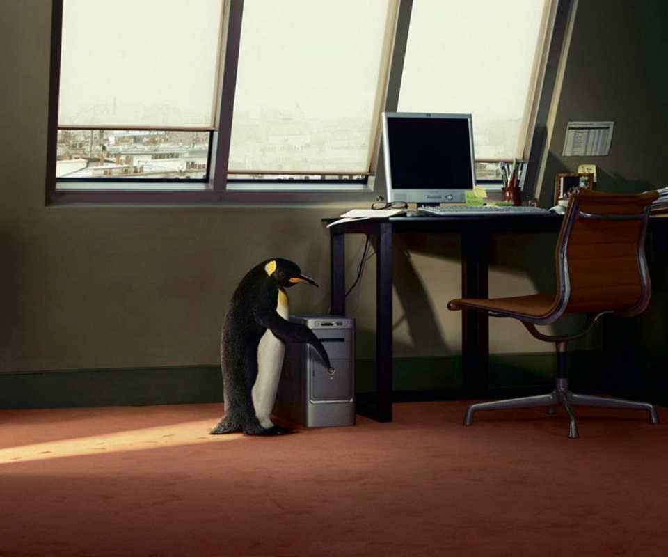 Penguin and Computer screenshot #1 960x800